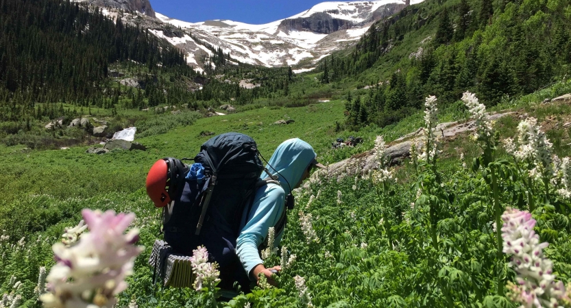 A person wearing a backpack hikes through a green mountain meadow dotted with wildflowers.